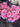 Spray Roses (Pink)