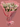 Pink Drip