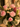 Rosita Garden