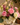 Marbella Garden